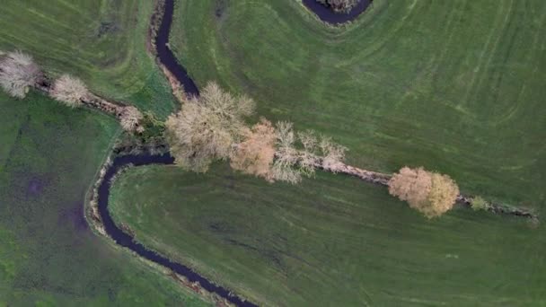 Vista Aérea Del Meandro Del Río Entre Los Campos Agrícolas — Vídeos de Stock
