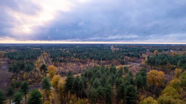 Beautiful colored forest during fall. Aerial drone picture of Belgian forest in Antwerp in autumn shot by a drone. High quality photo