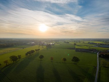 Avrupa, Belçika 'da vahşi ormanlarla çevrili güzel yeşil ve sarı tarımsal tarımın insansız hava aracı çekimi altın güneş ışınları ile yeşilin üzerinde sihirli bir battaniye oluşturur.