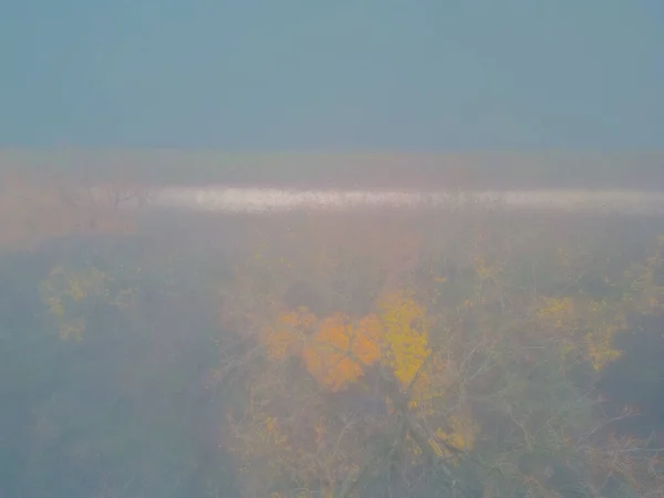 Vista Aérea Panorâmica Floresta Com Nevoeiro Matinal Outono Outono Filmado — Fotografia de Stock
