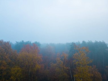 Panoramic aerial view of forest with morning fog in autumn or fall, shot taken by a drone. High quality photo