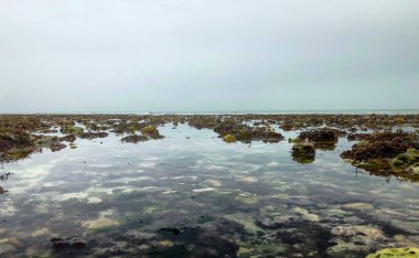 Fransa 'nın Normandiya sahilindeki kayaların üzerinde dalgalar süzülüyor. Yüksek kalite fotoğraf
