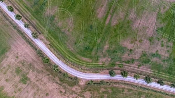 Parlak Yeşil Buğday Tarlasının Insansız Hava Aracı Fotoğrafı Bir Yol — Stok fotoğraf