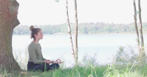 Kadın Meditasyonu Zen Yoga Meditasyonu Yogi Kızı Nilüfer Çiçeği Pozunda — Stok video