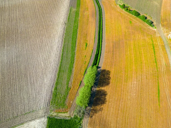 Fantastische Farbenfrohe Luftaufnahmen Von Grünen Welligen Feldern Sonnigen Tagen Drohnenschuss — Stockfoto