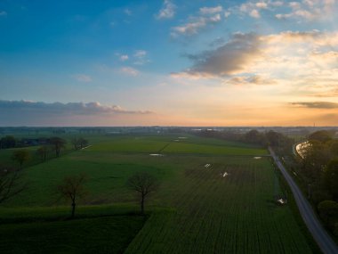 Güneşli bir günde tarıma kuşların bakış açısı ve yeşil dalgalı tarlalar. Tarım endüstrisi. Belçika 'nın tarım bölgesi, Avrupa. Sinematik hava çekimi. Toprağın güzelliği. Yüksek kalite fotoğraf