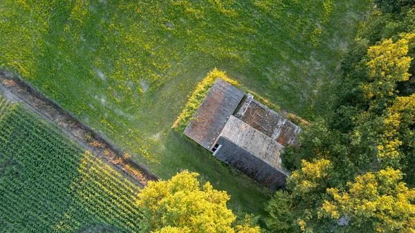 Αεροφωτογραφία Drone Γυρίστηκε Από Φρέσκο Πράσινο Πεδίο Την Άνοιξη Κοντά — Φωτογραφία Αρχείου