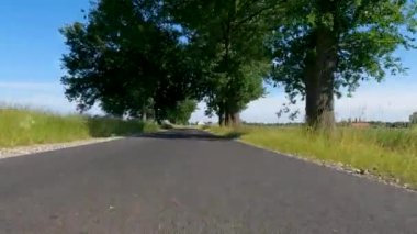 Olgun tarlaları geçerek, güneşli bir yaz akşamında, Antwerp, Belçika, Avrupa 'da, otoyolda araba kullanma bakış açısı. Yüksek kalite 4k görüntü