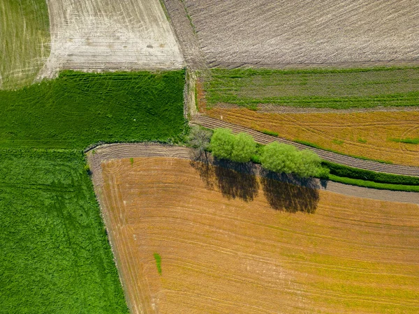 Yeşil Tarlaların Manzaranın Havadan Görünüşü Bir Yaz Günü Tarım Manzarası — Stok fotoğraf