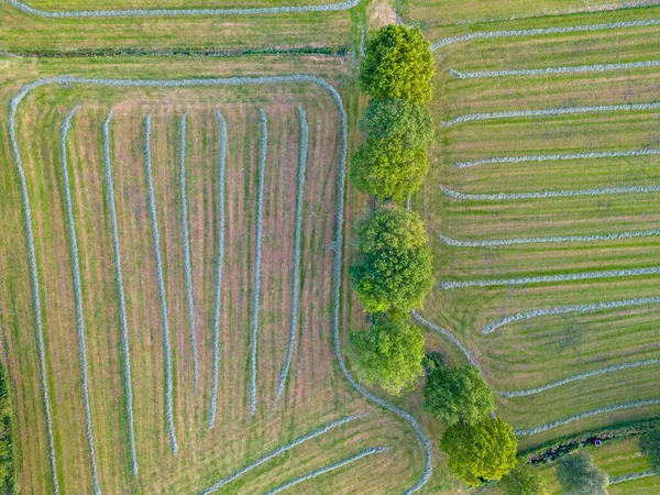 Flygfoto Över Stor Jordbruksmark Hand Grödan Grönt Gräs Och Vetefält — Stockfoto