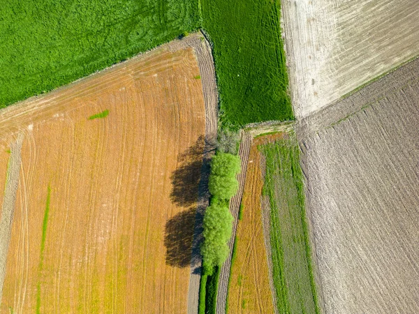 Yeşil Bir Alanın Geometrik Hava Görüntüsü Uçan Yeşil Biçilmiş Çimlerin — Stok fotoğraf