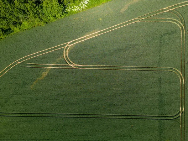 Geometrische Luftaufnahme Eines Grünen Feldes Fliegender Blick Auf Grün Gemähtes — Stockfoto