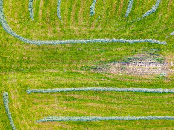농지에 농작물 공중에서 작물들로 이루어진 농산물 단지의 기하학적 형태를 십시오 — 스톡 사진