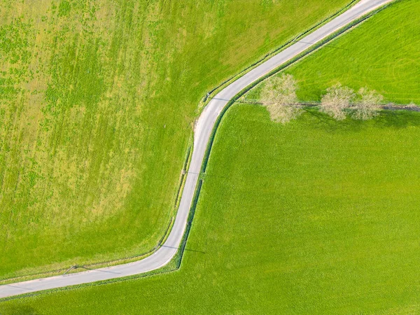 Luftaufnahme Der Bunten Landschaft Mit Straße Schönen Grünen Wiesen Frühling — Stockfoto