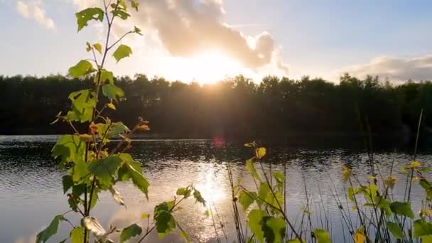 Golden Tranquility 포레스트 위에서 태양빛을 의높은 수준의 여행을 호수에서 태양이우아 — 비디오