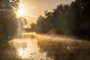 Gizemli Sabah: Gün ışığı Misty Nehri 'ni delip geçiyor, sabah sisi içinde parlayan güneşin fotoğrafı ağaçlar arasında akan bir nehrin suyu üzerinde. Kaliteli fotoğraf, Büyüye tanık ol