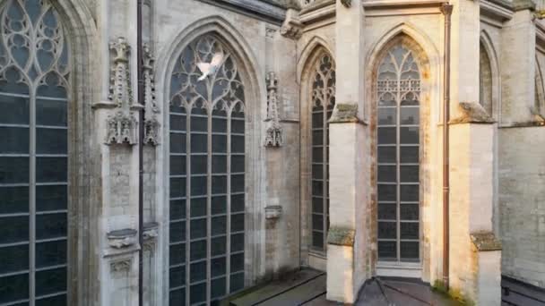 Halle Vlaams Brabant Bélgica 2023 Sol Saliendo Sobre Basílica San — Vídeo de stock