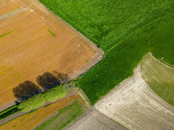 Захоплива Аерофотозйомка Зеленого Хвилястого Поля Сонячний День Вигляд Зверху Дронів — стокове фото
