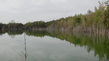 Gözlerden uzak bir orman gölünün sakin sularında alçaktan uçtuğunu gösteren büyüleyici hava görüntüleri. Su yüzeyine yakınlık ve dingin ormanın arka planı birleşerek gerçek bir...