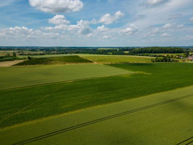 Hava manzaralı geometrik tarlalar, yeşil bir çayır ve sürülen tarlaları gösteriyor, İHA ile yakalanmış. Yüksek kalite fotoğraf