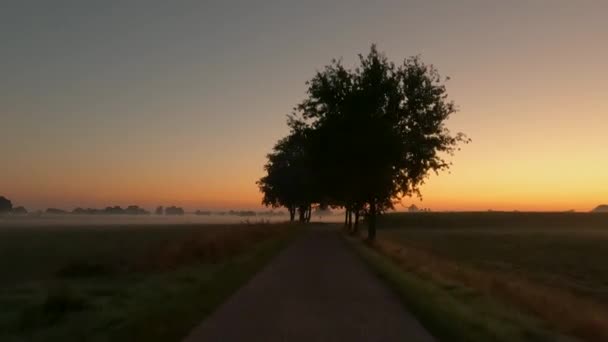 Ağaçlarla Kaplı Tarlalarla Çevrili Kırsal Bir Yolda Sabahın Erken Saatlerinde — Stok video