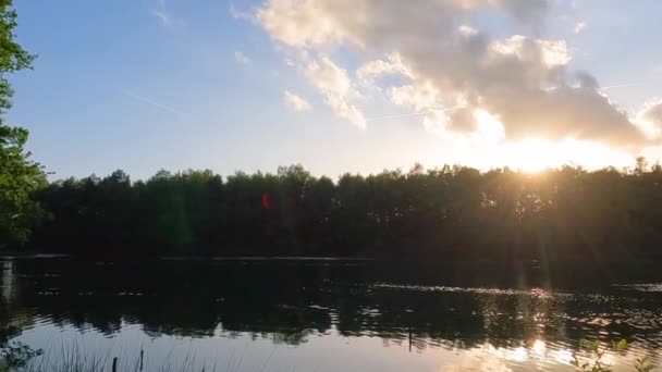 森の湖の穏やかな水の中に美しく反映夕日の空の鮮やかな色をキャプチャする魅惑的なパンニングショット 夕暮れ時の自然風景を描いた映像です — ストック動画