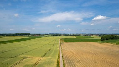Doğa ve manzara, bir tarlanın havadan görünüşü, tarım, yeşil çimen, kırsal, çiftçilik, toprak yol. Yüksek kalite fotoğraf