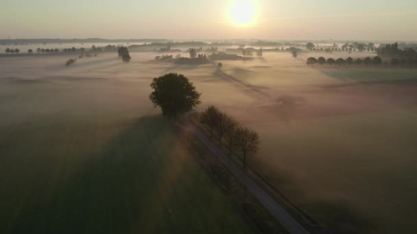 Een Adembenemende Drone Opname Van Betoverende Schoonheid Van Weelderige Landschappen — Stockvideo