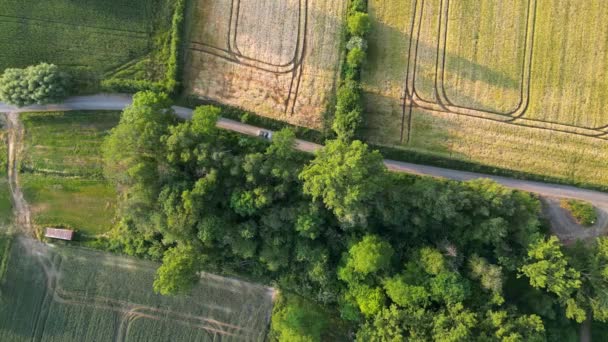 在农场之间的小路上开车的空中景象 无人机镜头与家庭车在框架的中间 集中在农村旅行 阳光灿烂 有新鲜的土地 高质量4K — 图库视频影像
