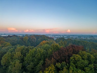 Şafağın sihrine kuş bakışı perspektiften tanık olun bu nefes kesici hava manzarasıyla. Güneşin ilk ışıkları, ağaçların tepelerini altın bir ışıltıyla yıkar. Huzurlu ve hayranlık verici bir manzara yaratır. Doğa