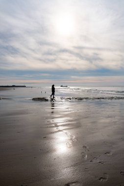 Huşu uyandıran bir gün batımı, deniz kıyısındaki kumlu bir sahili şereflendirir. Gökyüzü dramatik bulutlarla boyanmış sakin suya yansıyor. Resimli plajda gezinen bir kişinin silueti...