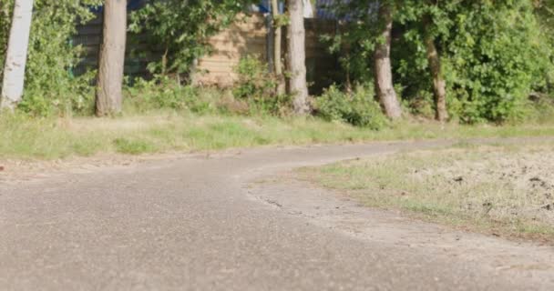 Решительная Молодая Спортсменка Черно Зеленой Спортивной Одежде Бежит Лесной Дороге — стоковое видео