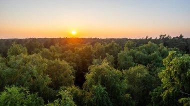 Gün batımının dingin güzelliğini yansıtan, nefes kesici bir hava perspektifi. Derin maviden canlı turuncuya geçiş yapan güneş, altın ağaçların tepelerini ışıl ışıl öpüyor.