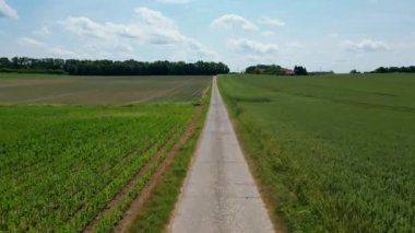 4K görüntüleri tarlada dolambaçlı yol. Asfalt yolu olan bir arazinin havadan görünüşü. Akıcı hayat manzarası. Renkli tarım alanları manzarası. Yüksek kalite 4k görüntü