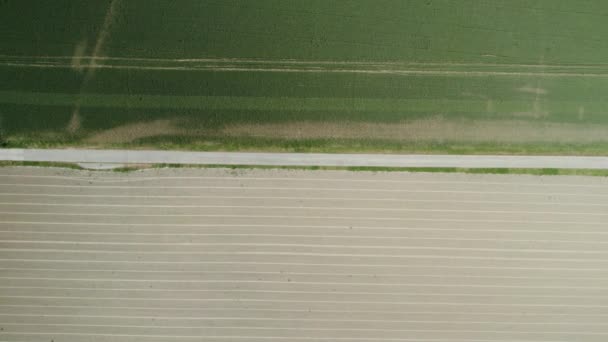 ベルギーのフィールドの上からドローンでスーパーショット 鳥の視点から 高品質の4K映像 — ストック動画