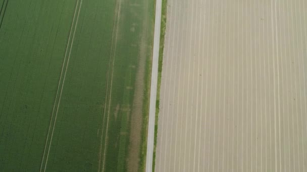 Revelar Campos Bosque Agricultura Europa Drones Aéreos Árboles Verde Amarillo — Vídeo de stock