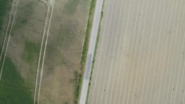 鳥の目から見ると 素朴な土の道は 2つの対照的な農場の間の分岐線を形成する カメラが回るにつれて 一方の側が新鮮に耕された土壌を明らかにし 季節の種子を熱望する — ストック動画