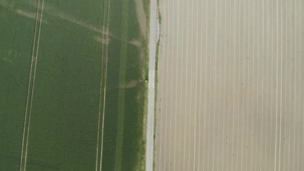 无人机滑行而过时 下面露出了一片片的希望和勤奋 一片新种植的农田 嫩嫩的庄稼从肥沃的土壤中渗出 整整齐齐的行头证明了农民的实力 — 图库视频影像