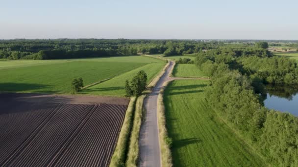 从一个较高的有利位置 镜头揭示了一个引人注目的场景 一条孤独的道路 像一条带子 穿过广阔的绿色农田的心脏 田野似乎无边无际 — 图库视频影像