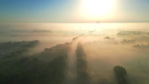 高高地高喊着 镜头捕捉到了一个惊人的奇景 一片伸展的乡村风景轻柔地笼罩在晨雾之中 低垂的太阳 带着它灿烂的光芒 穿透了薄雾 — 图库视频影像