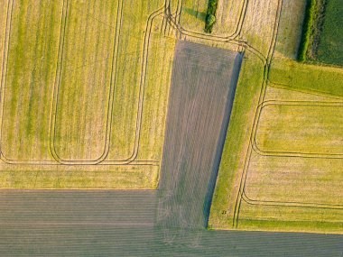 Gökyüzünden, bir dron yeryüzüne, doğal sanatlara, tarımsal parsellerin soyut geometrisine bakıyor. Özenle ayrılmış alanlar yemyeşil ve hasat sarısı arasında değişiyor.