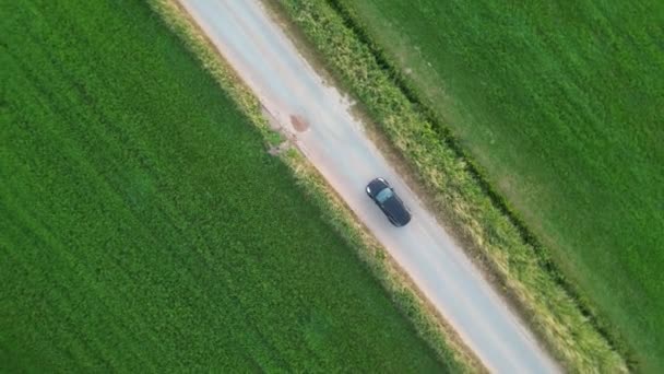 Αεροφωτογραφία Ενός Μαύρου Αυτοκινήτου Που Οδηγεί Αγροτικό Δρόμο Υψηλής Ποιότητας — Αρχείο Βίντεο