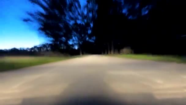 この映像は 田舎の道路の夜間ドライブ中に動きの本質を捉え 中央の焦点が光と色のストリークにぼやけています 孤独な木がシャープなシルエットに立っている — ストック動画
