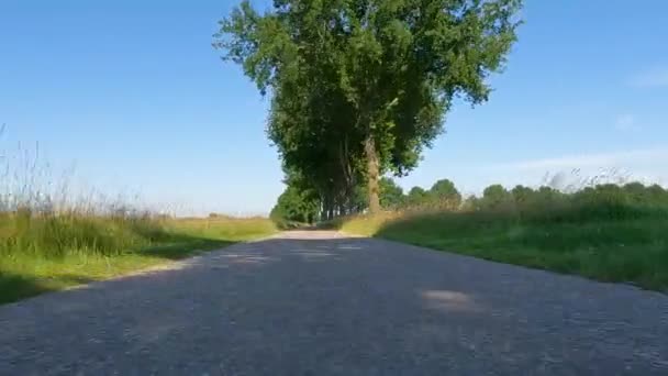 Görüntüler Izleyicilere Açık Mavi Bir Gökyüzünün Altında Görkemli Ağaçlarla Kaplı — Stok video