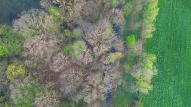 Aerial Footage Dynamic Landscape Unfolds Forward Motion Vibrant Spring Scene — Stock Video