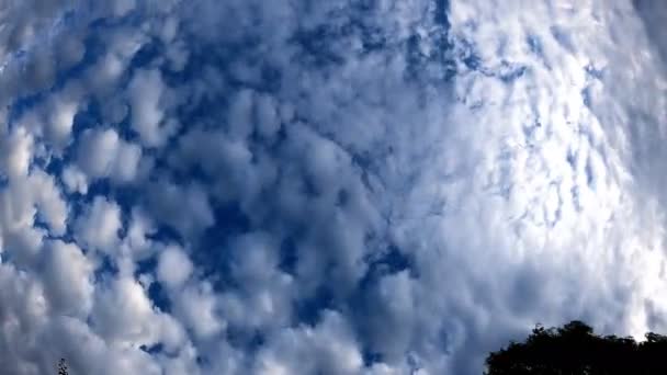 这个经过的镜头显示了散布在晴朗蓝天上的巨大的积云 毛茸茸的白色的花纹像棉花一样四处散落 形成了一种天然的挂毯 — 图库视频影像