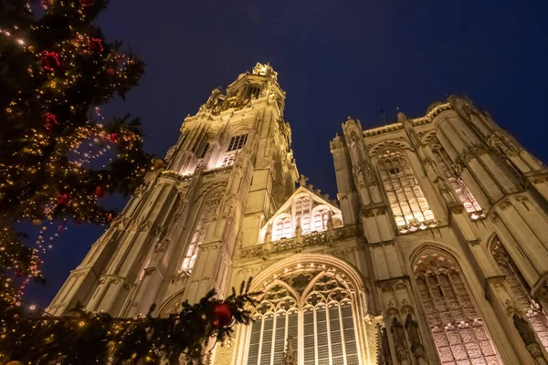 A night view of the Cathedral of Our Lady in Antwerp, Belgium, taken from a low angle that showcases its towering Gothic architecture. The cathedral rises majestically into the night sky, with its