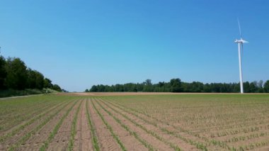 Bu manzara yeşil enerji ve tarımın harmonik bir karışımını yakalar, açık mavi gökyüzünün bir zeminine kurulmuş yüksek bir rüzgar türbini ile, ekin sıralarının erken büyümesine tepeden bakar.