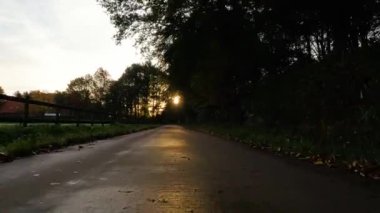 Ağaçlarla kaplı, davetkar bir patikanın üzerinden geçerken çekilen görüntüler, insanı batan güneşin yumuşak ışıltısına yönlendiriyor. Akşam ışığı yaprakların arasından süzülüp sakin bir bulvar oluşturur.