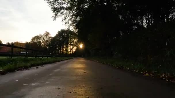 Záběry Jízdy Lákavé Stezce Lemované Stromy Vedou Měkkému Světlu Zapadajícího — Stock video